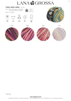 Farbkarte 2 Cool Wool Print/Punto 2024